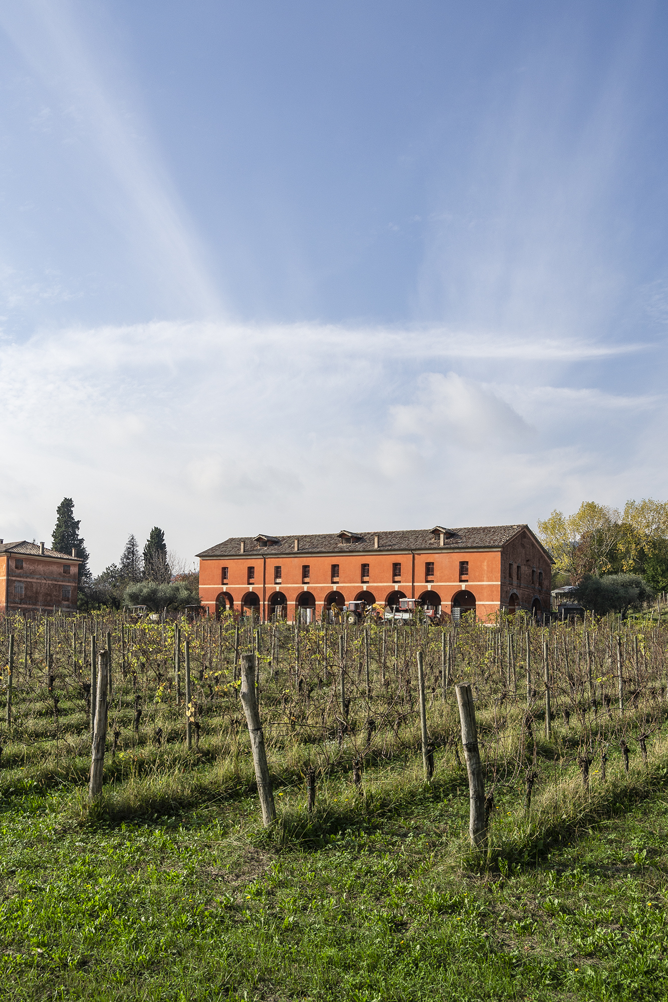 cantina_dalla starda