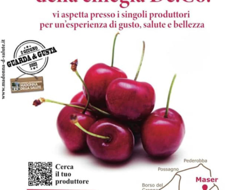EVENTO ANNULLATO CAUSA DANNI MALTEMPO – Domenica 29/05 – mostra della Ciliegia di Maser