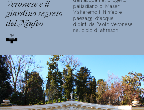 Visita guidata “Riflessi e Colori”